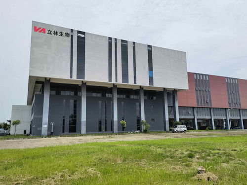 雙品牌戰略驅動，雙廠布局夯實根基 蓋夫內外貿并舉，技術開發引領全球化新篇章